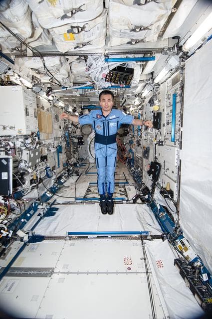 NASA image: Wakata wearing Penguin-3 Antigravity Pressure/Stress Suit