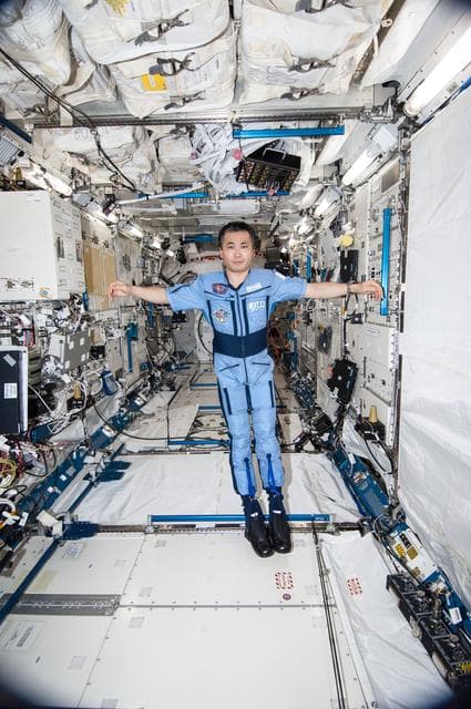 NASA image: Wakata wearing Penguin-3 Antigravity Pressure/Stress Suit