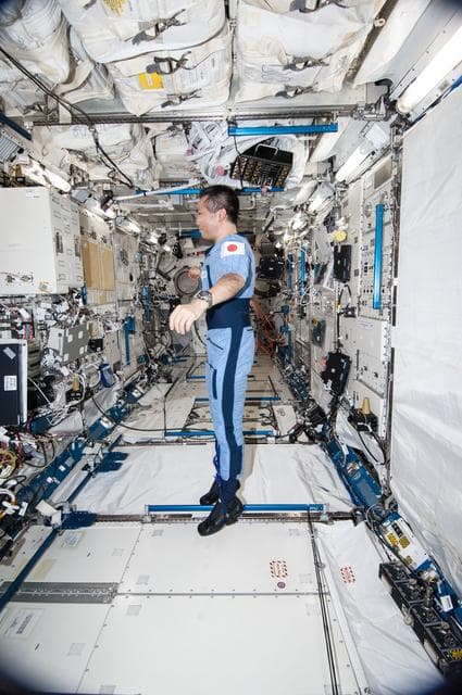 NASA image: Wakata wearing Penguin-3 Antigravity Pressure/Stress Suit
