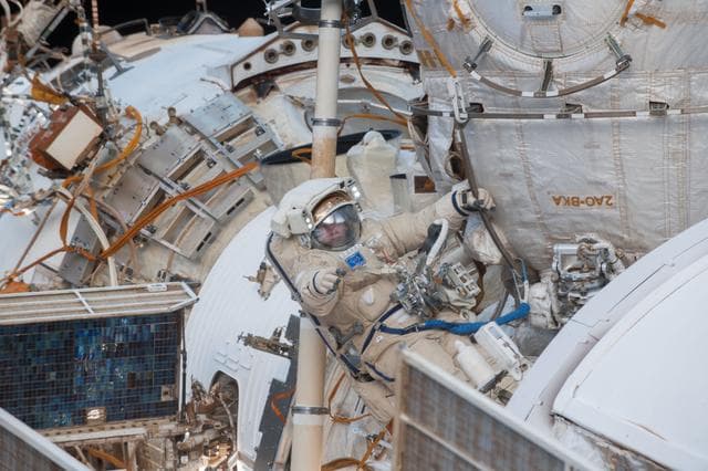 NASA image: iss038e036798