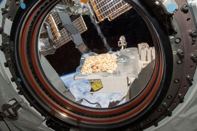NASA image: iss038e041195