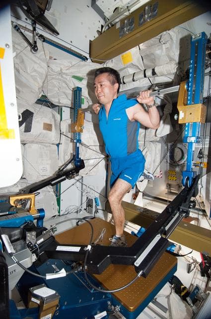 NASA image: Wakata exercises on the aRED