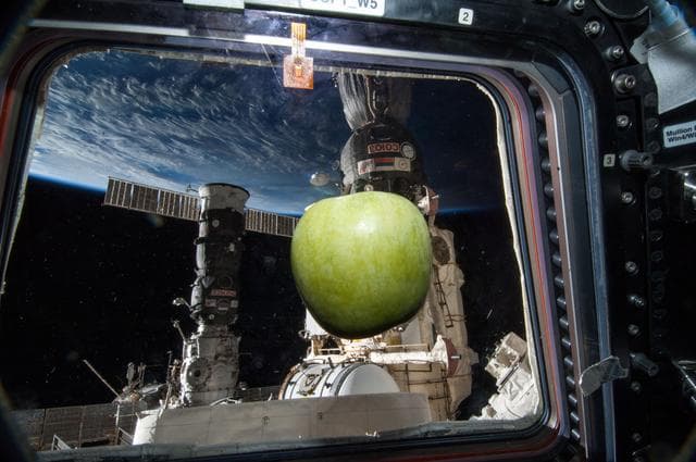 NASA image: Apple Floating in Cupola Module