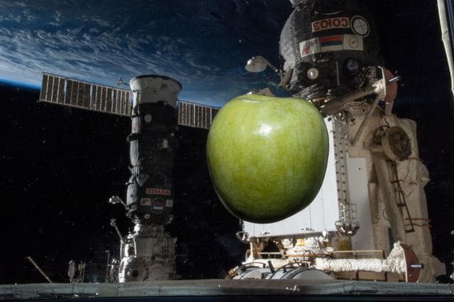iss038e042115