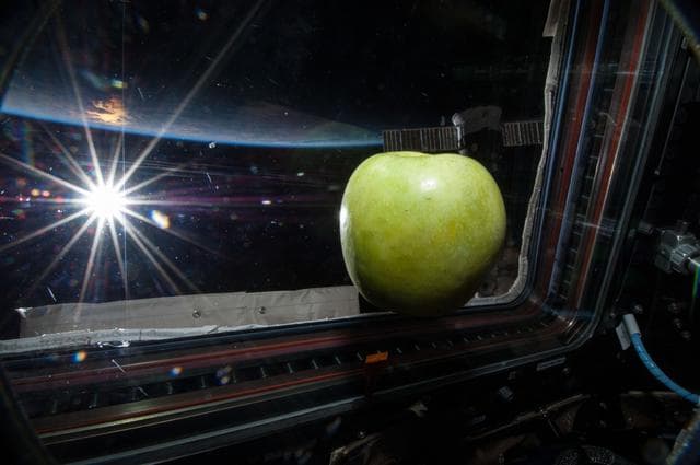 NASA image: Apple Floating in Cupola Module