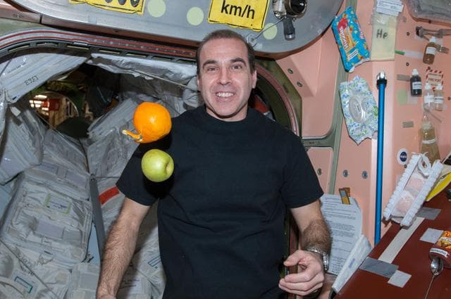 NASA image: Mastracchio watches fruit in the Node 1