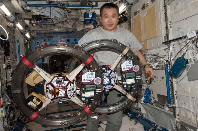 NASA image: Hopkins works with SPHERES-Rings Experiment