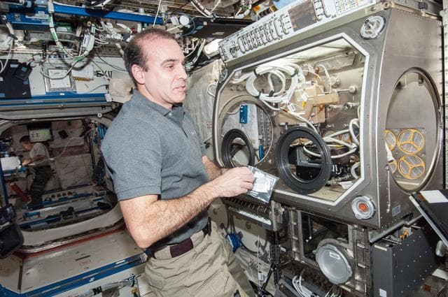 NASA image: Mastracchio during BASS II Setup