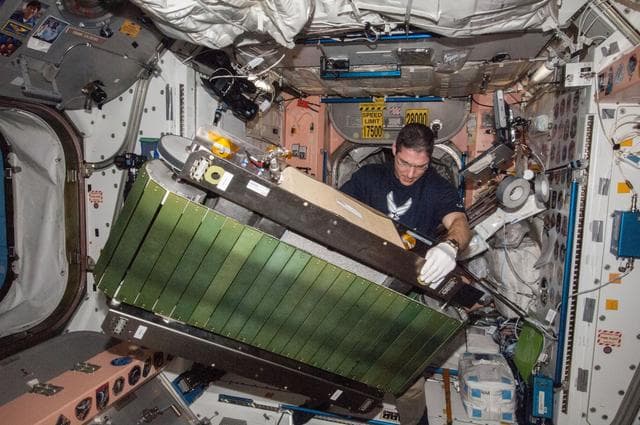 NASA image: Hopkins works on T2 COLBERT