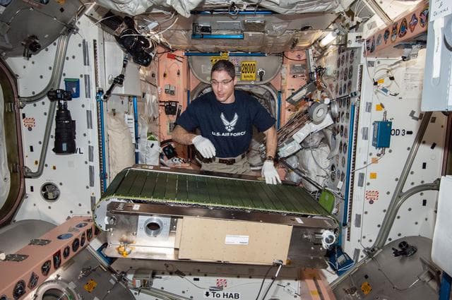NASA image: Hopkins works on T2 COLBERT