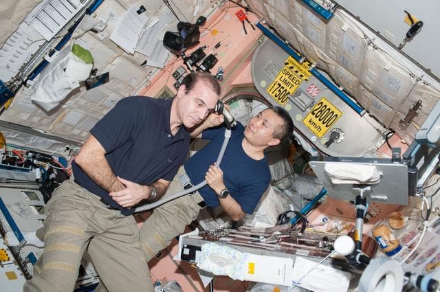 NASA image: iss038e054116
