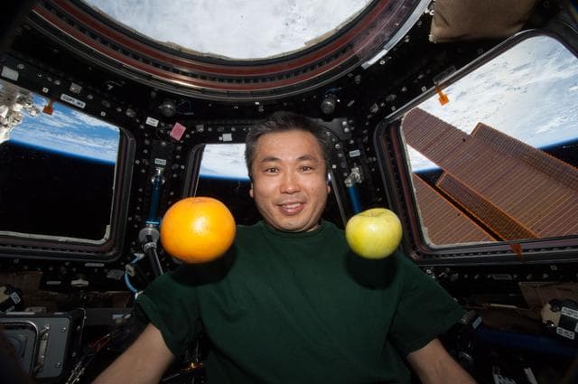 NASA image: Wakata with Fresh Fruit in the Cupola