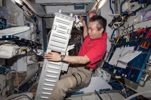 NASA image: Wakata during Day 2 of CDRA IFM