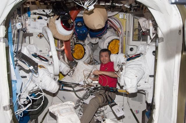 NASA image: Wakata in A/L