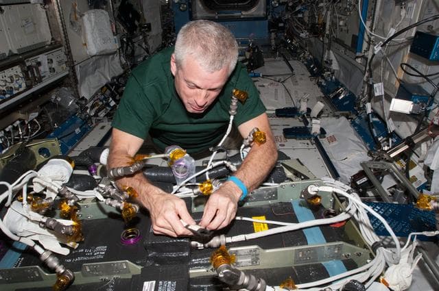NASA image: Swanson during Day 2 of CDRA IFM