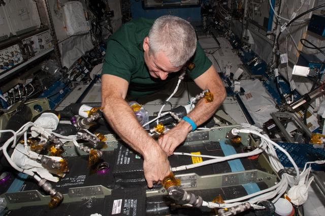 NASA image: Swanson during Day 2 of CDRA IFM