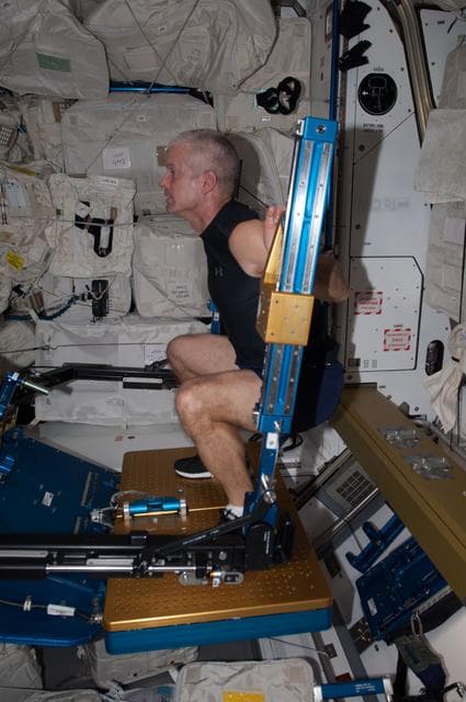 NASA image: Swanson exercises on the ARED in Node 3