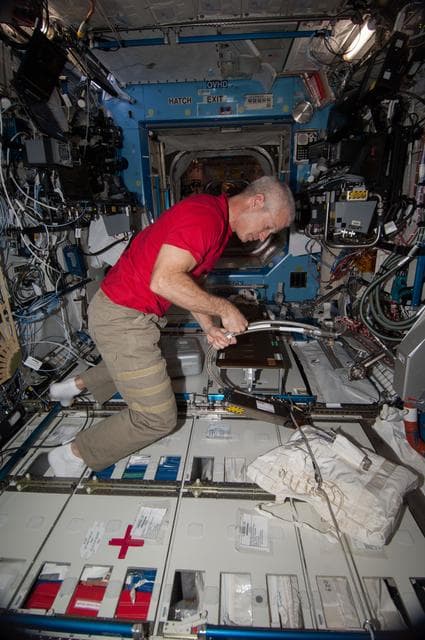 NASA image: Swanson in the US Lab