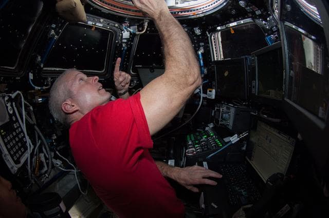 NASA image: Wakata, Swanson and Mastracchio monitor Dragon Spacecraft Approach from the Cupola