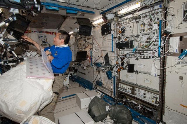 NASA image: Wakata works with Stowage in Kibo