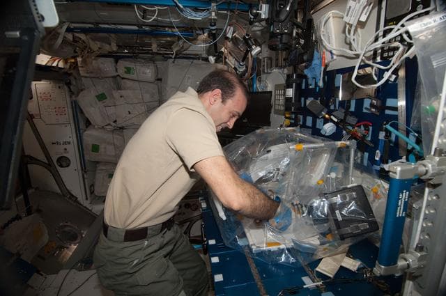 NASA image: Micro-7 BioCell Habitat Fixation Operations