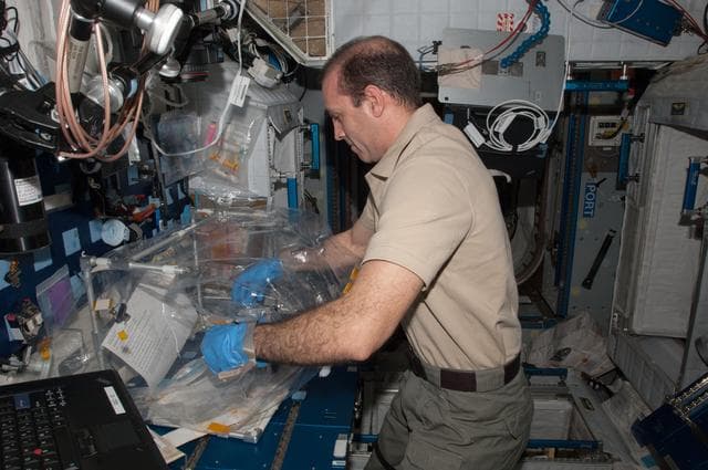 NASA image: Micro-7 BioCell Habitat Fixation Operations
