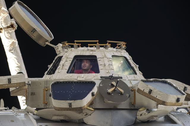 NASA image: View of Wakata in a Cupola Window