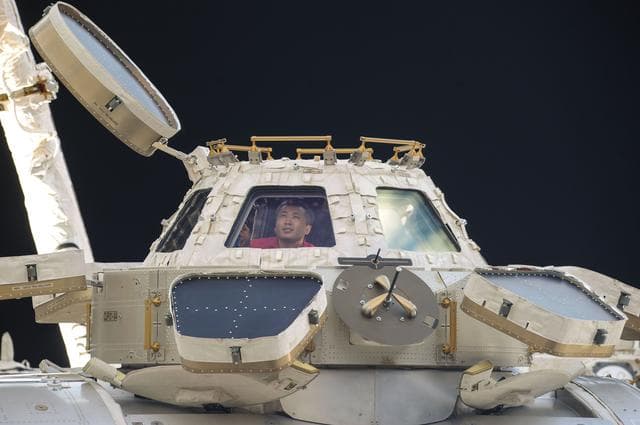 NASA image: View of Wakata in a Cupola Window