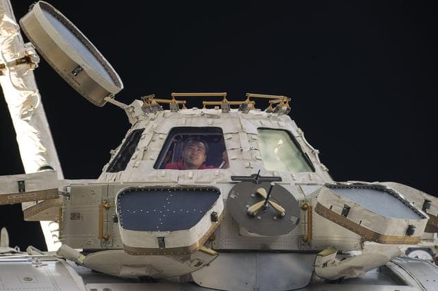 NASA image: View of Wakata in a Cupola Window