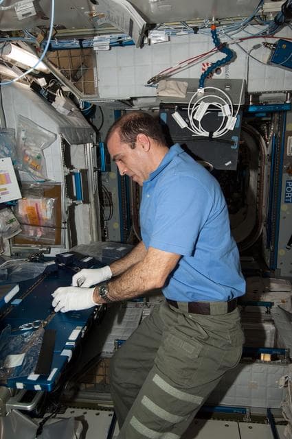 NASA image: Mastracchio conducts Gravi-2 Culture Hydration