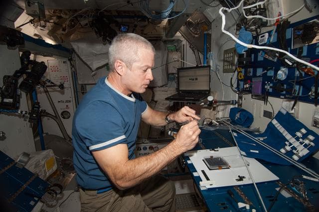 NASA image: Swanson conducts CARA-Petri Plant Harvest