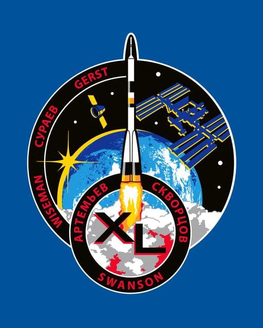 NASA image: EXP 40_A_patch