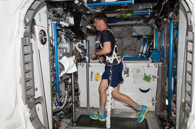 NASA image: Wiseman on COLBERT in Node 3
