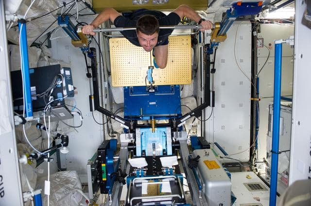 NASA image: Wiseman with aRED in Node 3