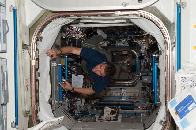 NASA image: Wiseman in hatch between U.S. Lab and Node 1