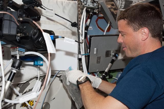 NASA image: Wiseman in with ACE sample