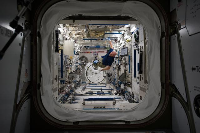 NASA image: Gerst in JEM