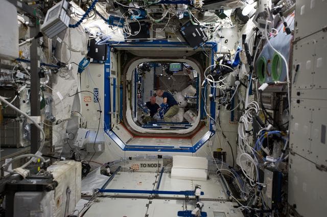 NASA image: Swanson and Gerst in Node 2