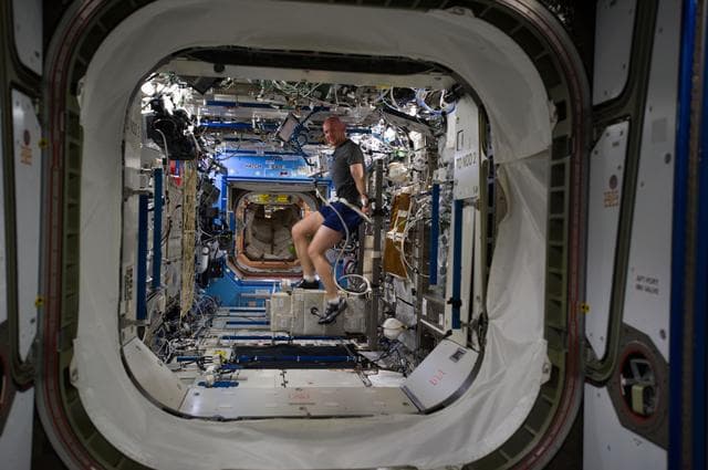 NASA image: Gerst in U.S. Laboratory