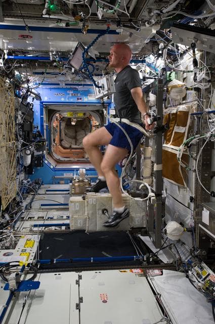 NASA image: Gerst in U.S. Laboratory