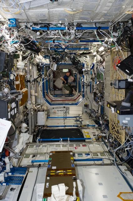 NASA image: Wiseman in Node 2