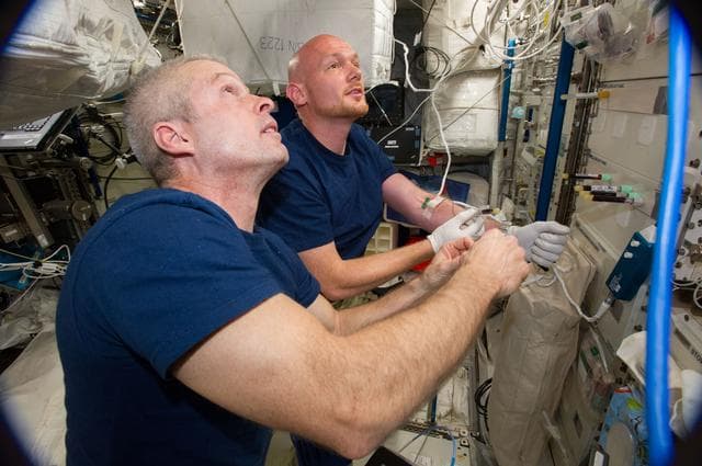 NASA image: Gerst and Swanson perform blood draw in Columbus module