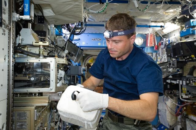 NASA image: FIR ACE samples
