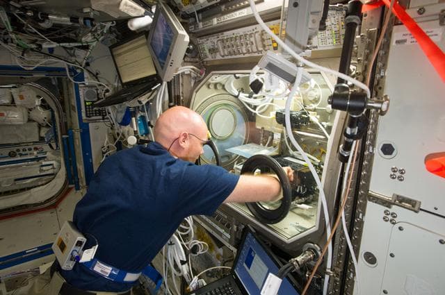 NASA image: Gerst with MSG during BASS session