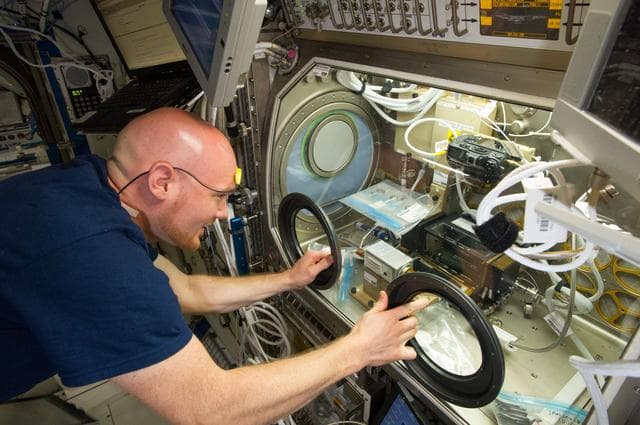 NASA image: Gerst with MSG during BASS session