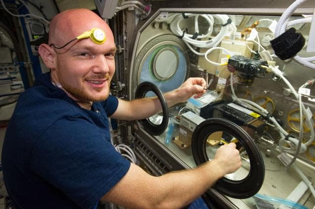 NASA image: Gerst with MSG during BASS session