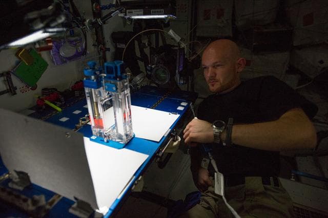 NASA image: Capillary Flow Experiment