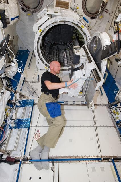 NASA image: Gerst working on JEM airlock satellite deployer