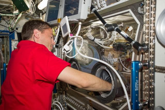 NASA image: Wiseman working with BASS-II Experiment