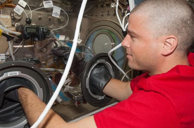 NASA image: Wiseman during BASS experiment